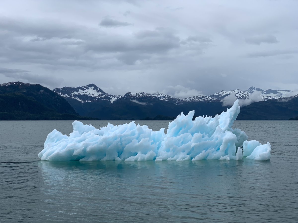 The Environmental Impact of Carbon Offsetting
