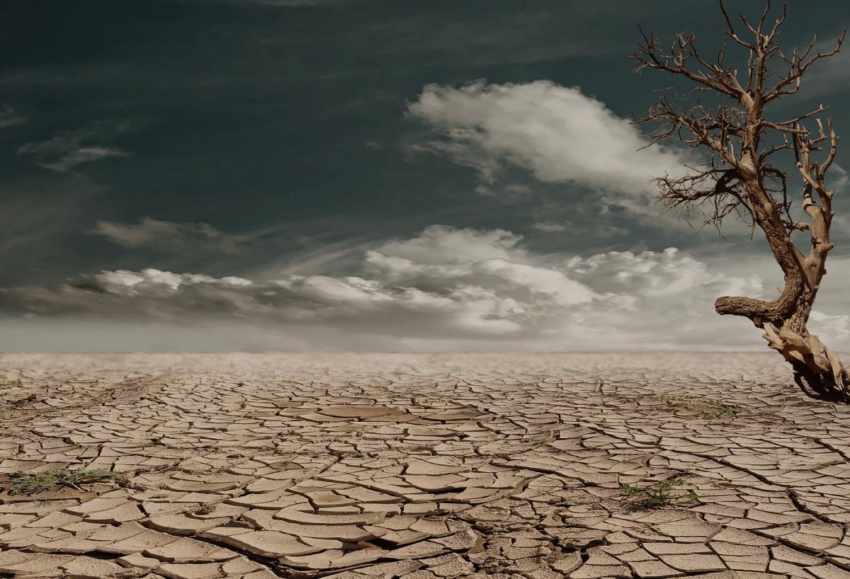 Criticisms and Challenges of Carbon Offsetting