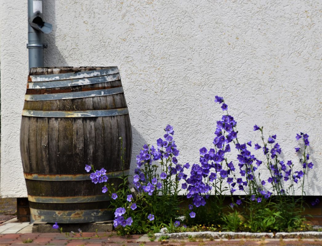 Rainwater Harvesting System