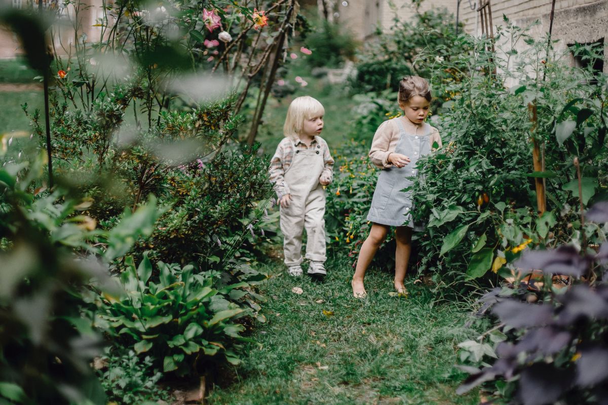 Building a Home Garden