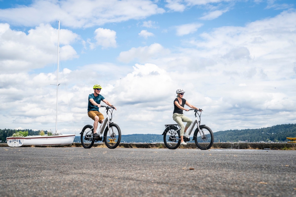 Challenges Facing Electric Bikes