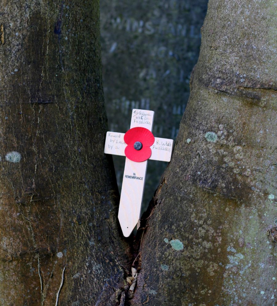 Natural Memorialization