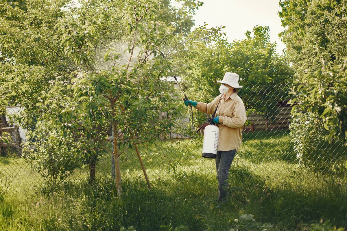 Traditional vs. Sustainable Pest Control Methods
