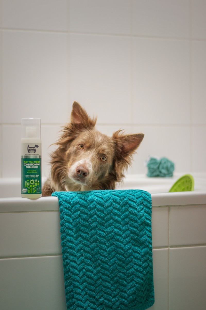 Reducing Waste in Pet Grooming