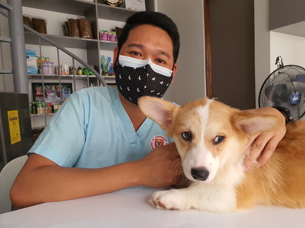 How Veterinarians and Pet Care Professionals Can Help