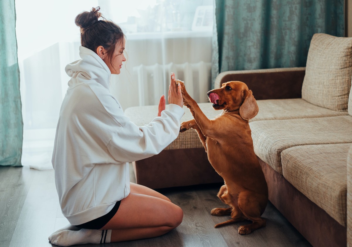 Sustainable Solutions for Plastic Waste in Pet Care