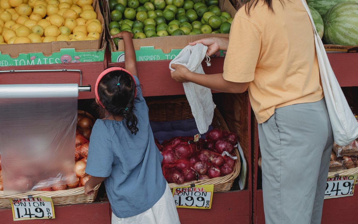 Sustainable Packaging in Action: Industry Examples