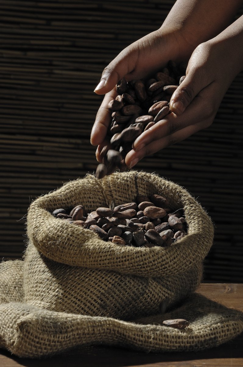 The Impact of Fair Trade