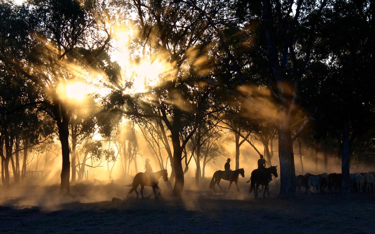 Indigenous Communities and Forest Stewardship