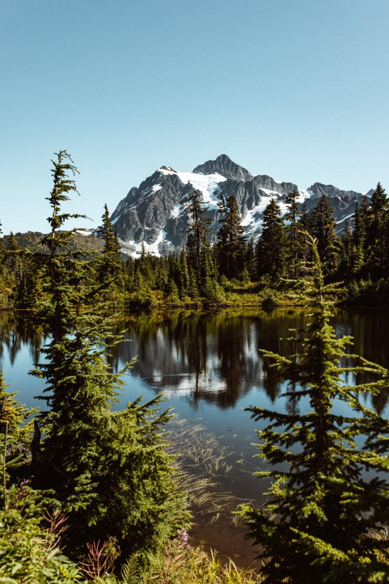 Conservation Strategies and Initiatives