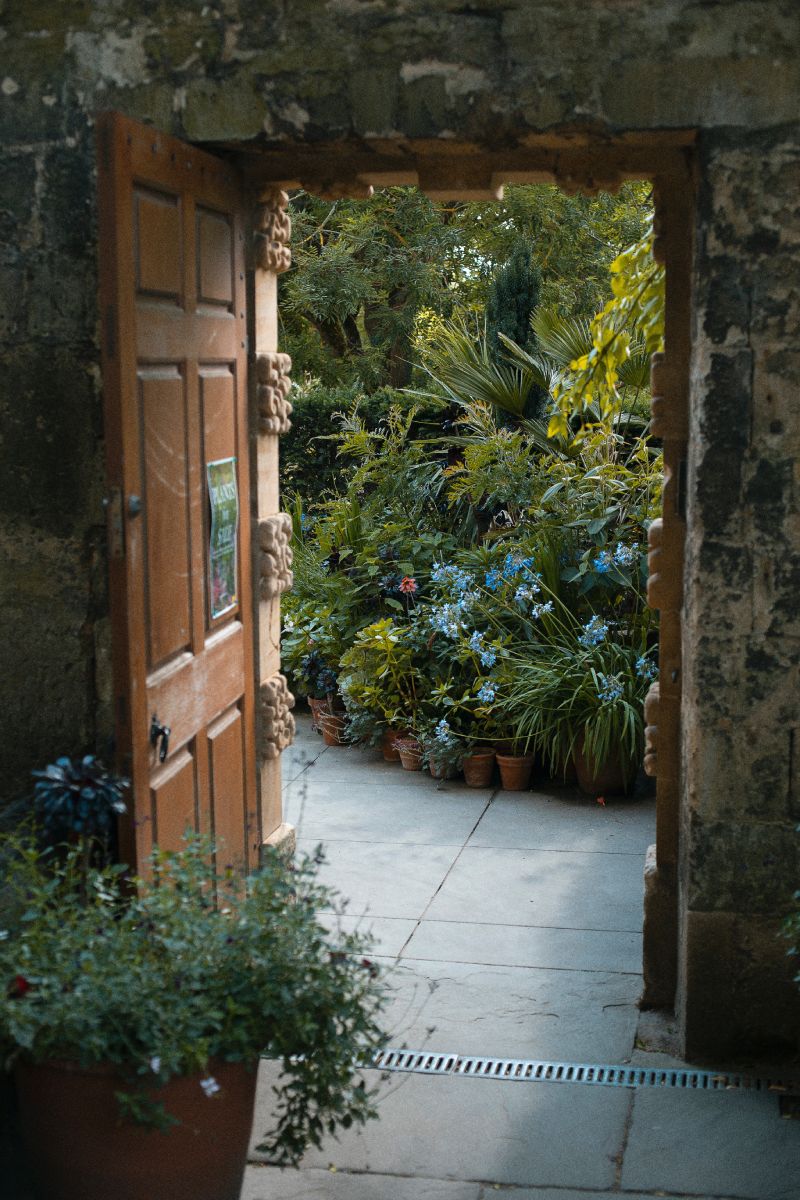 Choosing the Right Plants