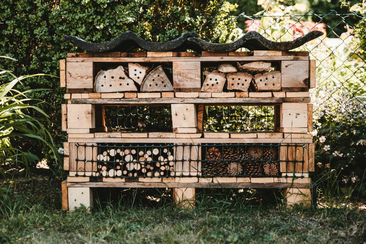 Creating Wildlife Habitats