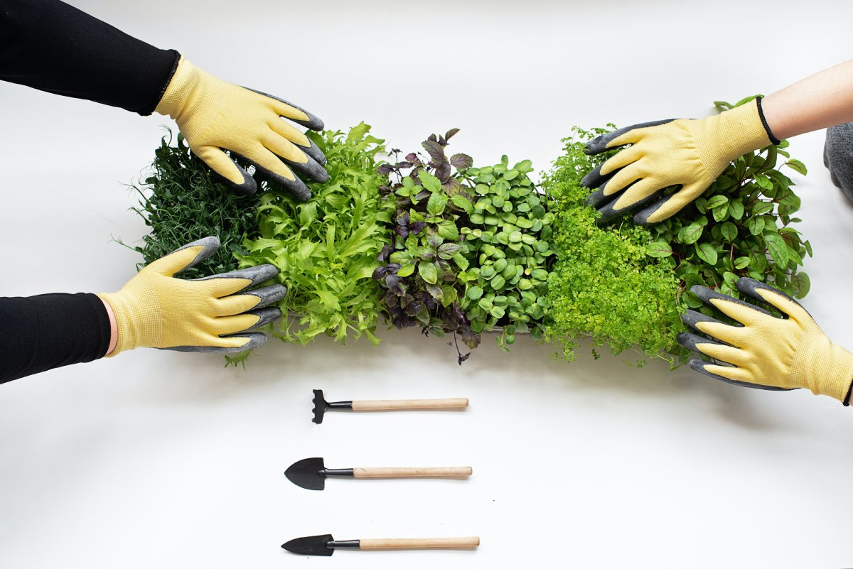 Green Garden Products