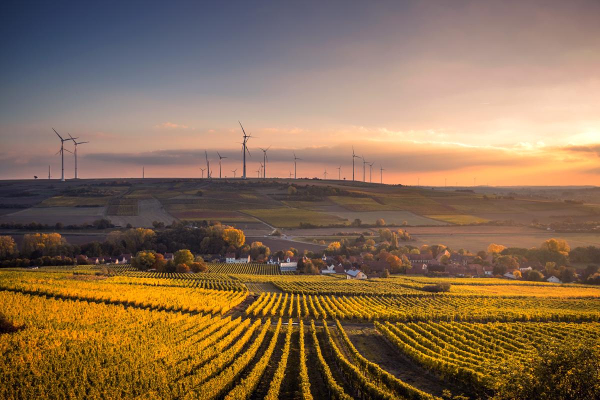 Energy Efficiency and Renewable Energy