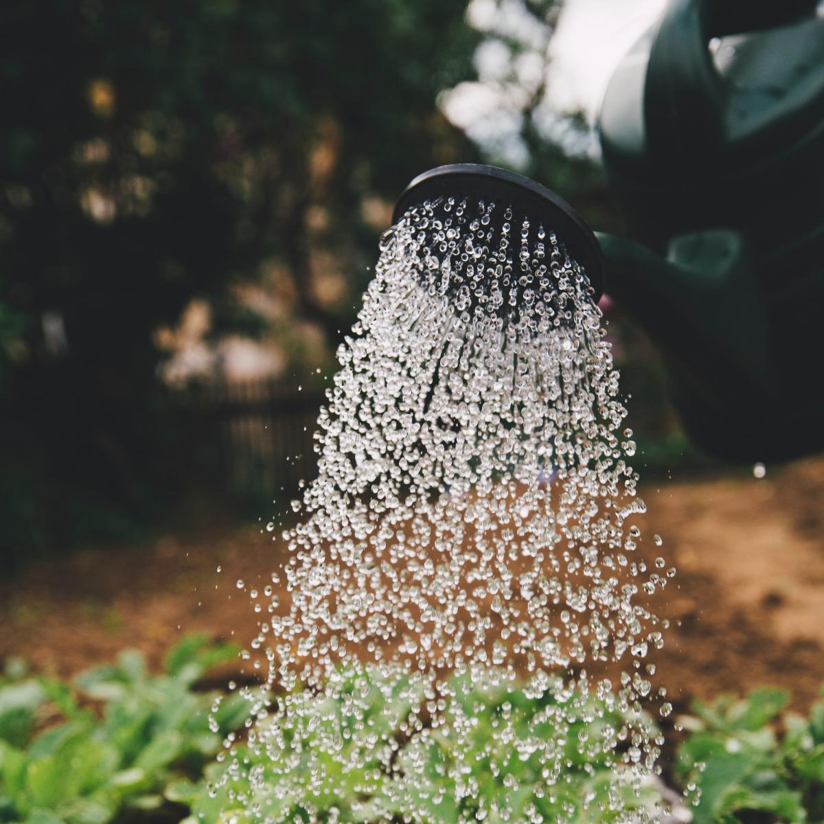 Water Conservation and Management