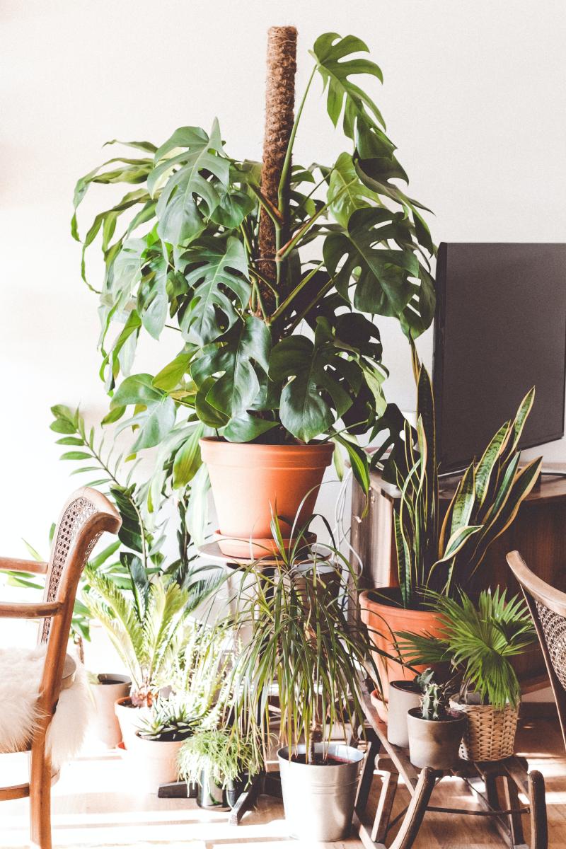 Indoor Environmental Quality