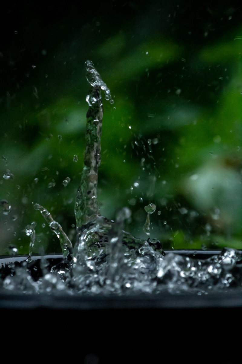Rainwater Harvesting