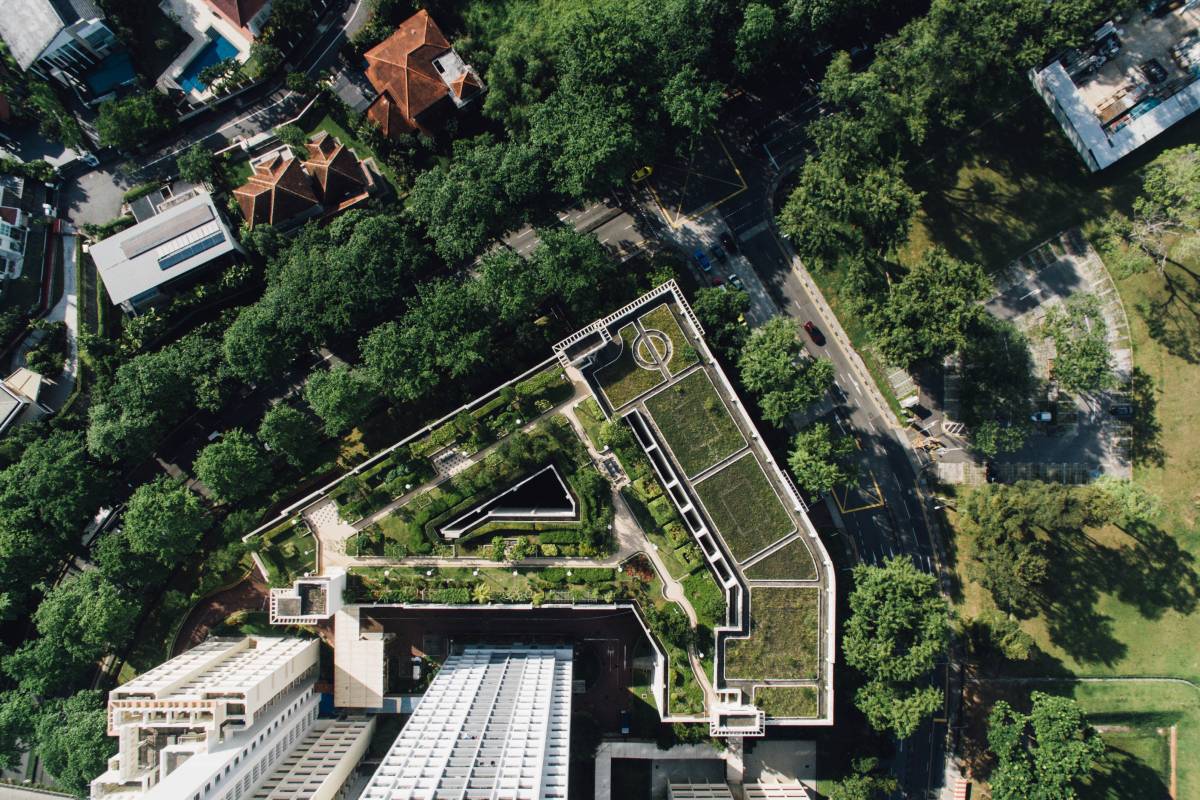 Biodiversity Benefits of Green Roofing
