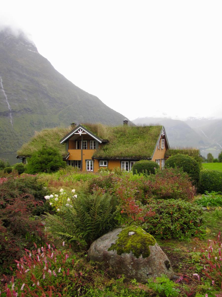 Considerations for Implementing Green Roofing