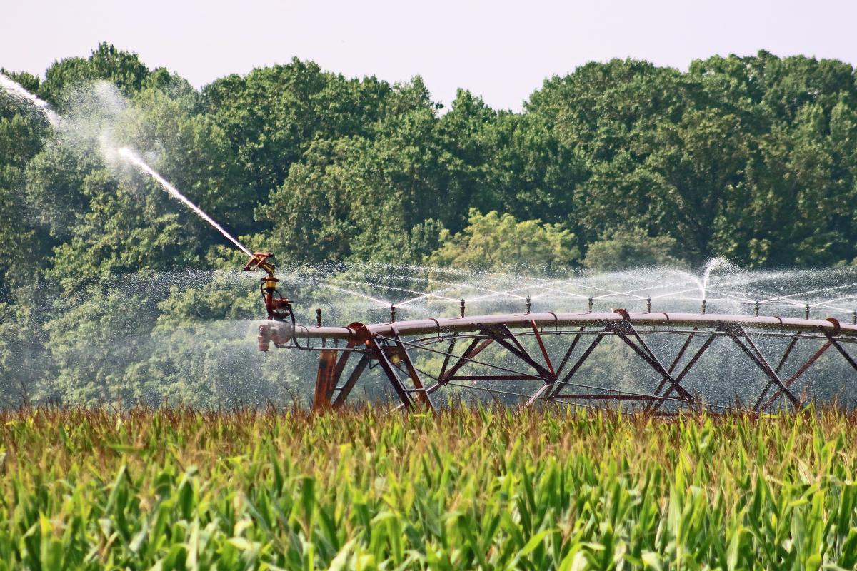 Sustainable Agriculture Technologies