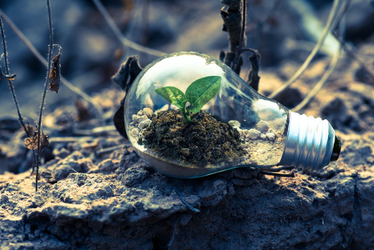 The Future of Green Technologies