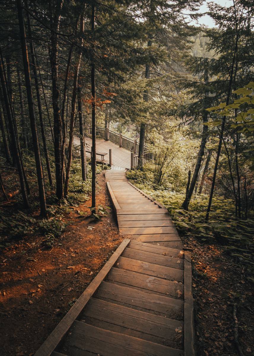 Benefits of Eco-Tourism