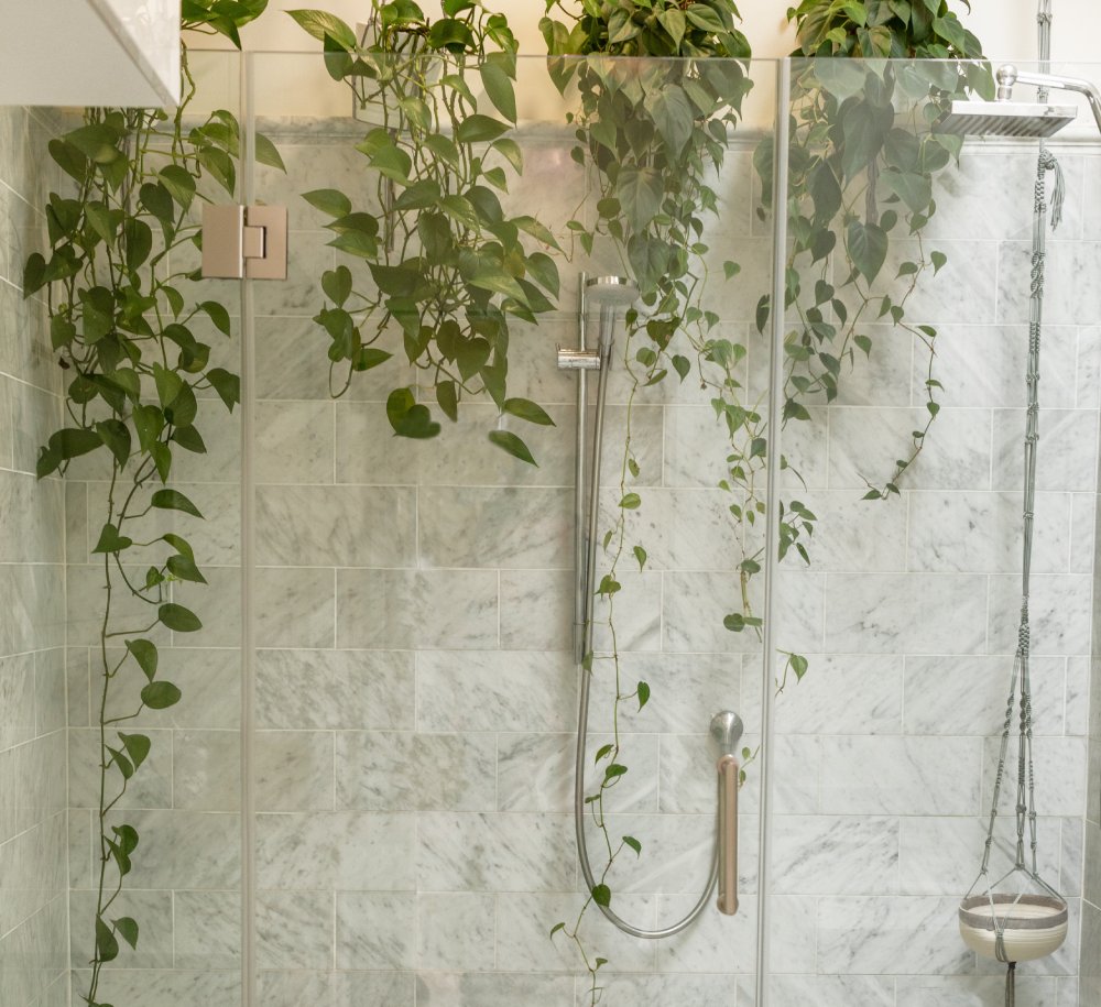 Sustainable Water Heating Solutions for Homes and Businesses