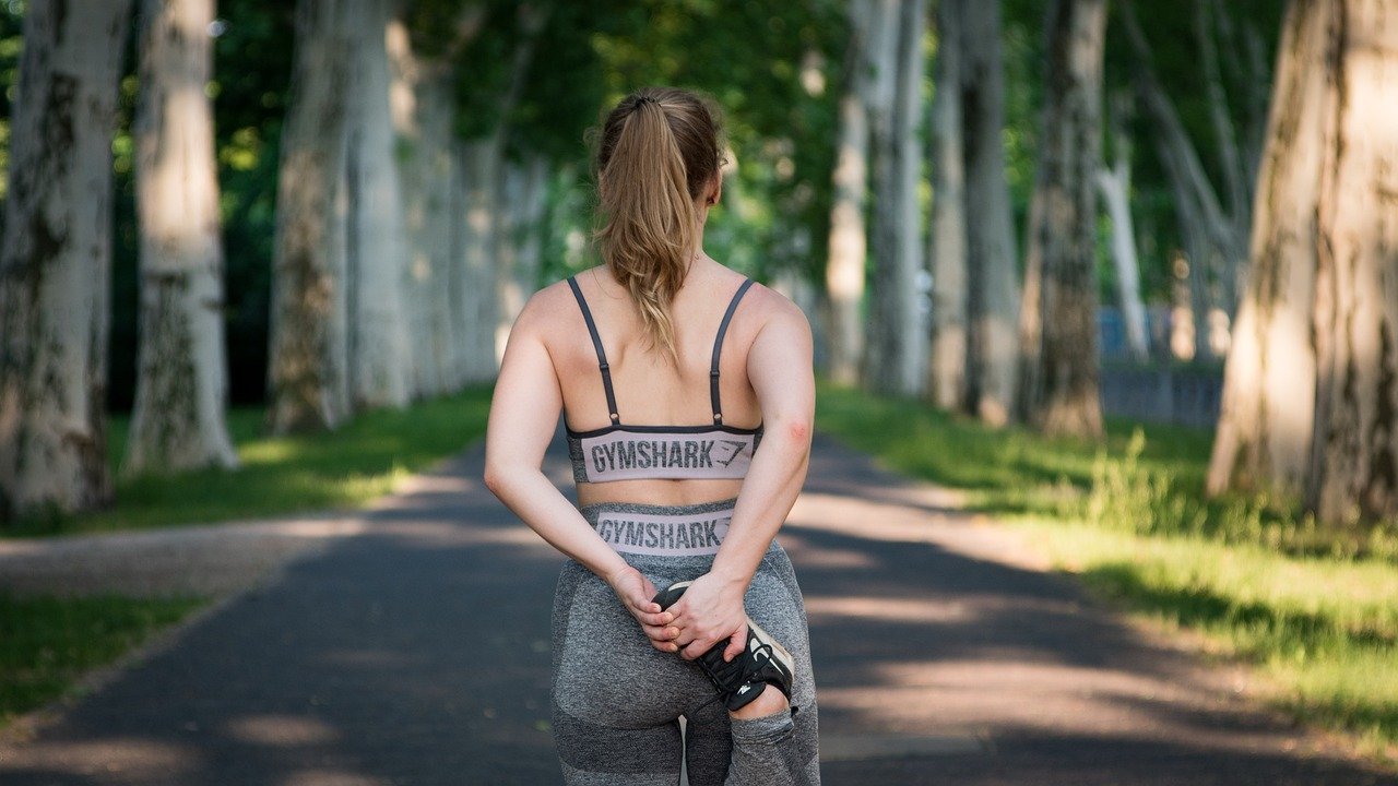 Understanding Sustainable Fitness