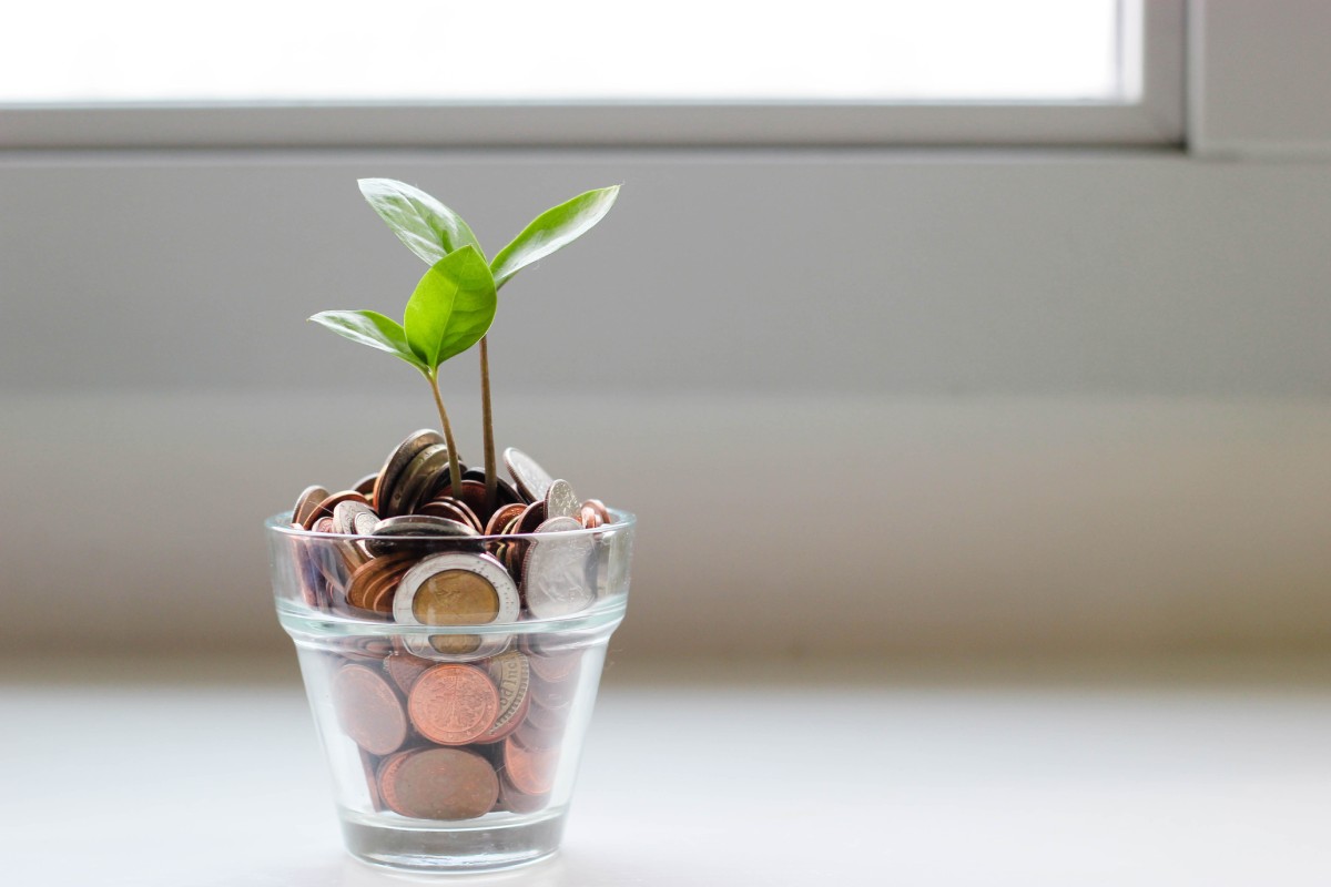 Financial Incentives and Rebates