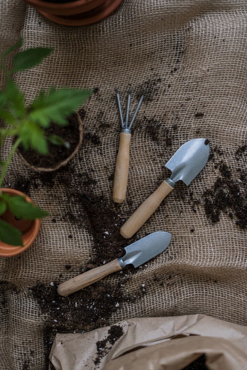Essential Tools and Supplies