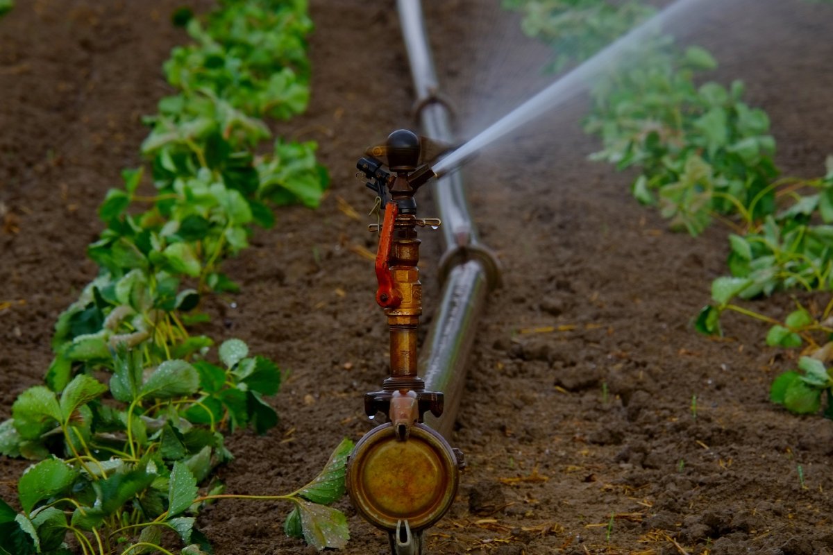Overuse and Pollution of Water Resources