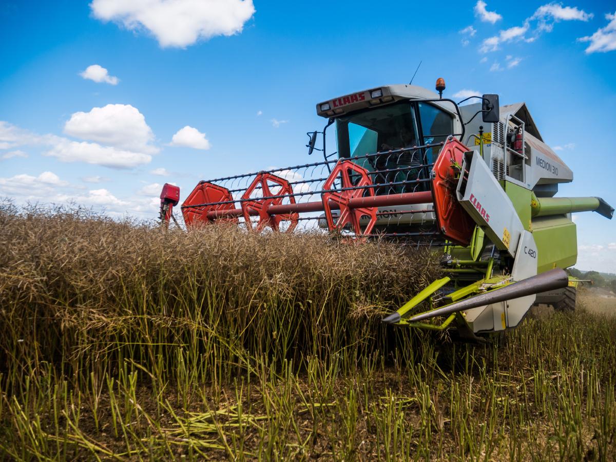 Sustainable Farming: A Viable Alternative