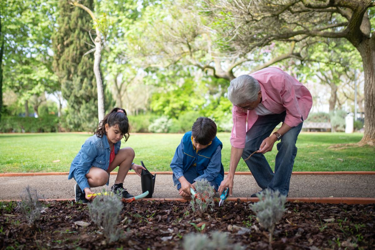 Interactive sustainability activities