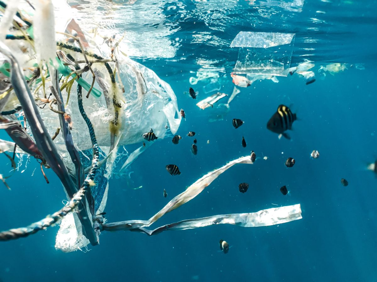 Environmental Impact of Microplastics