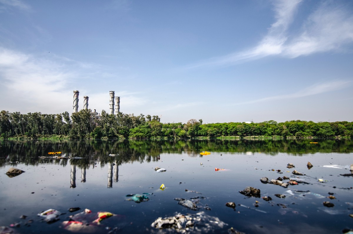Human Health Risks of Microplastics