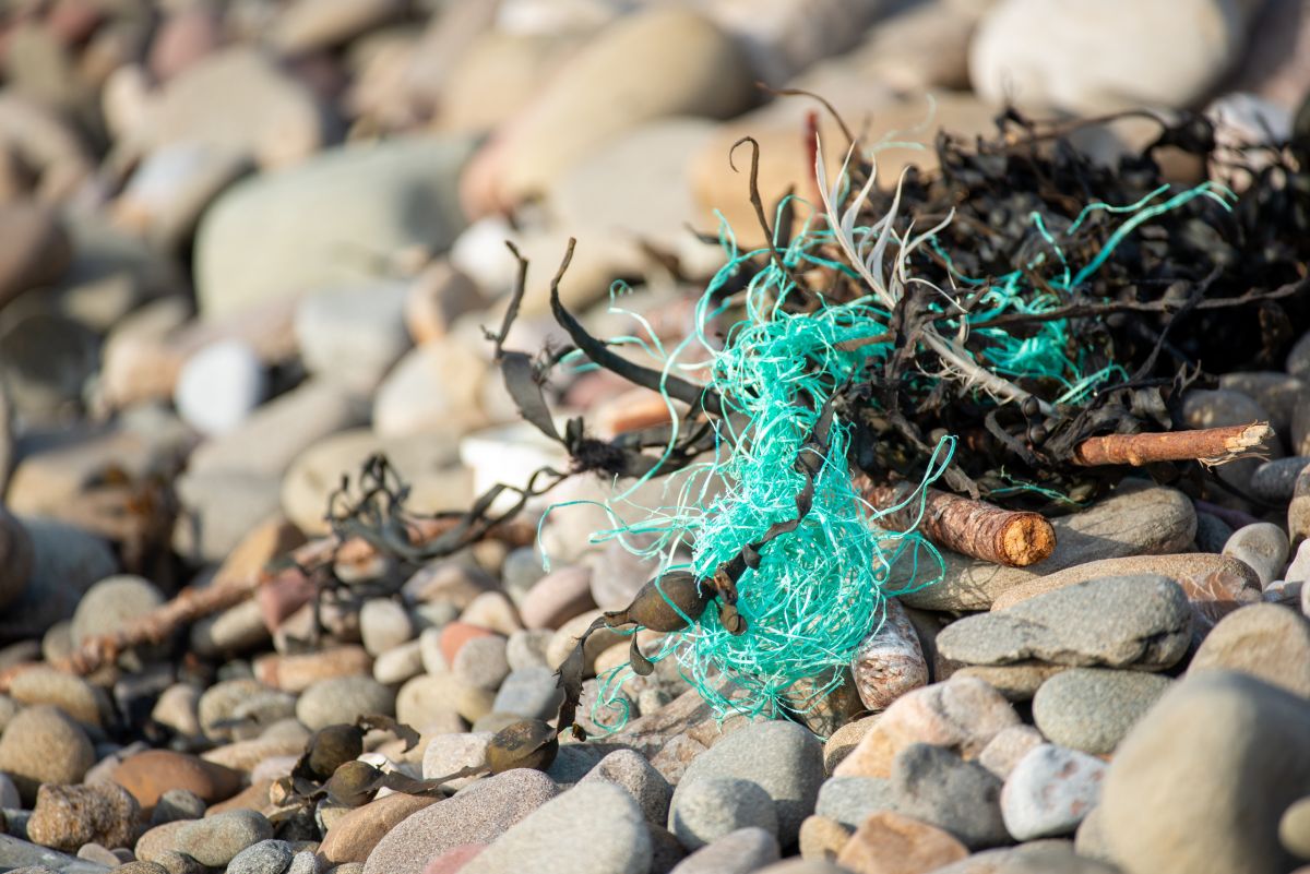 Sources and Pathways of Microplastics