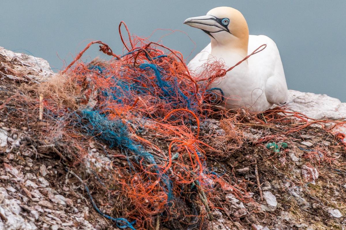 Detection and Measurement of Microplastics