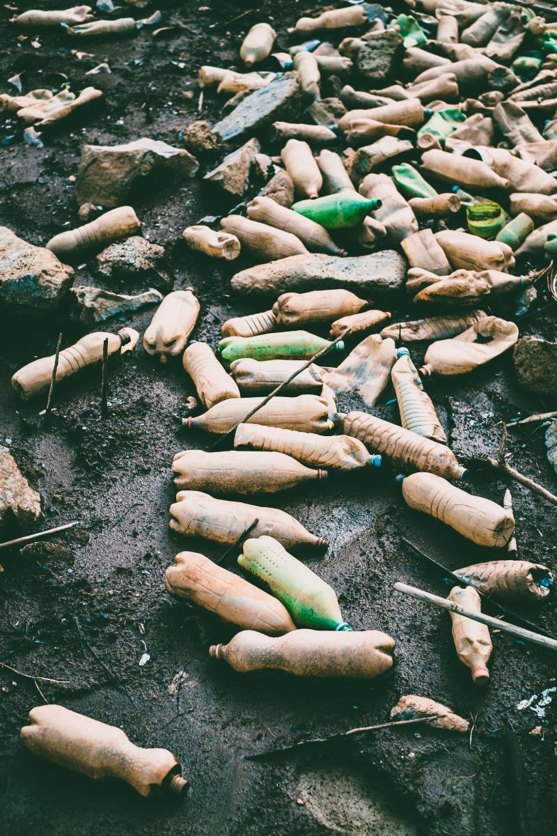 Notorious Examples: The Great Pacific Garbage Patch