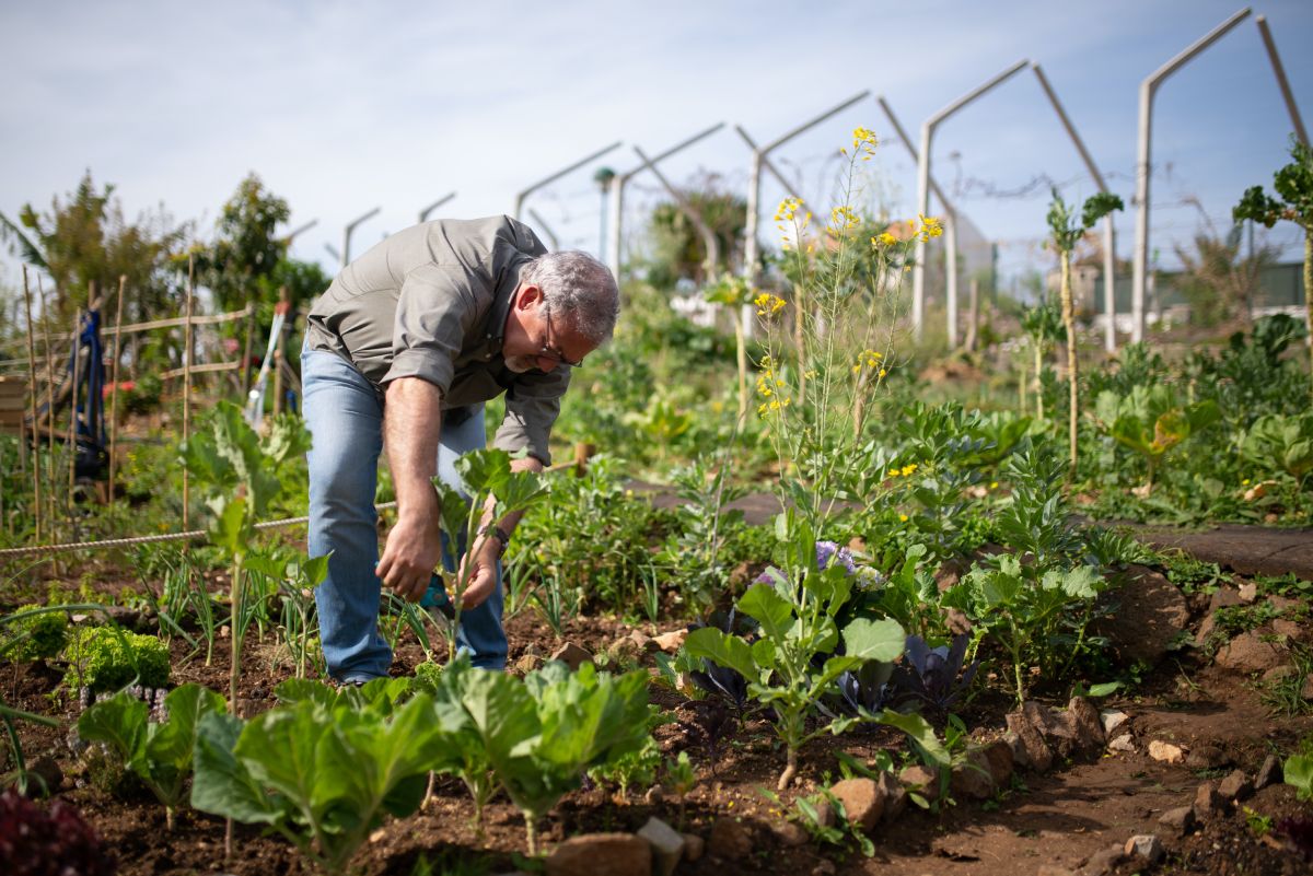 How to Get Started with Permaculture