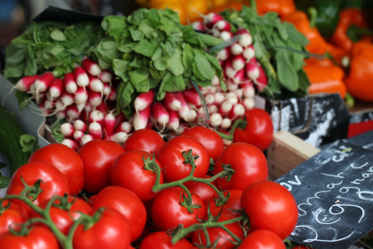 Advocacy for Plant-Based Diets and the Environment