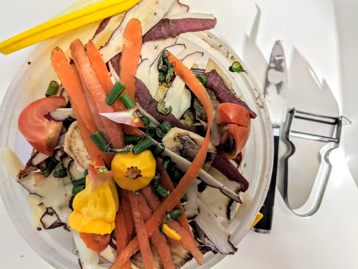 Composting Do's and Don'ts