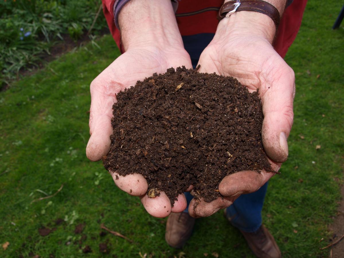 The Power of Composting: How to Turn Food Scraps into Nutrient-Rich Soil