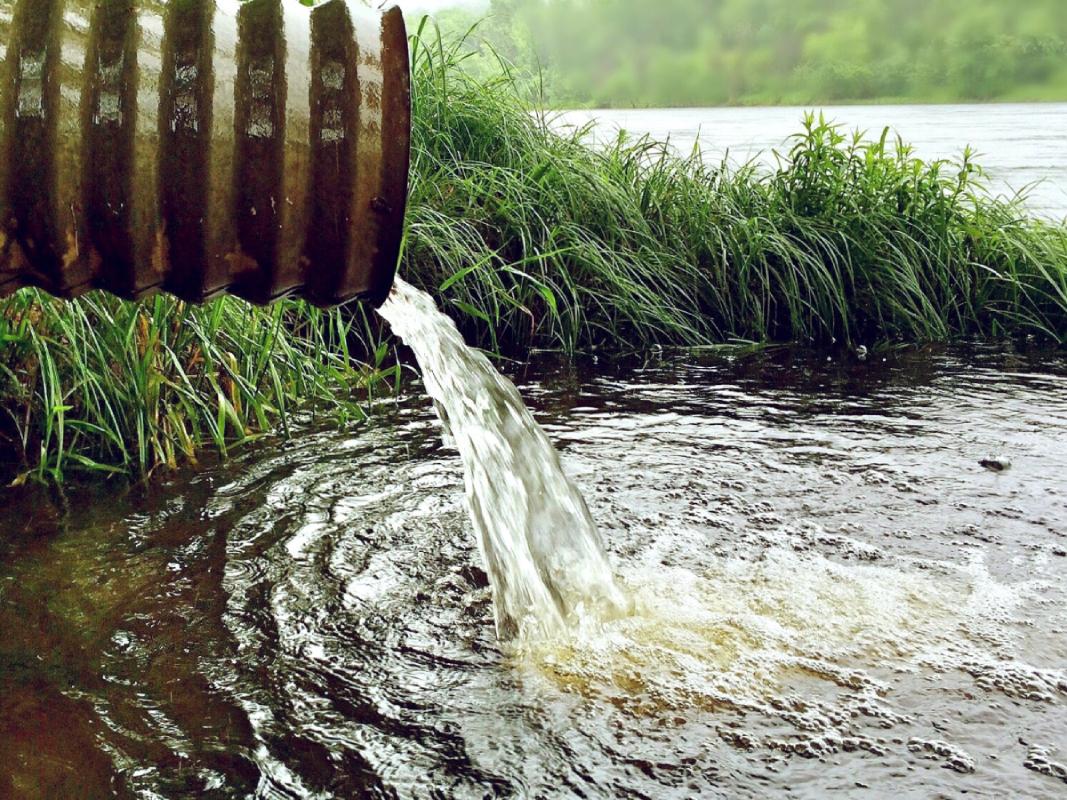 Promoting Environmental Responsibility