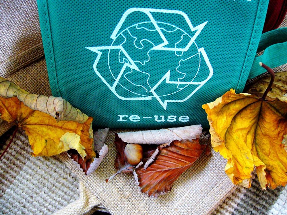 The Importance of Recycling: How to Recycle Right