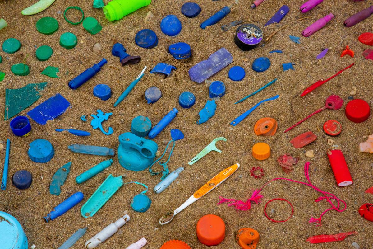 Understanding the Impact of Plastic Pollution