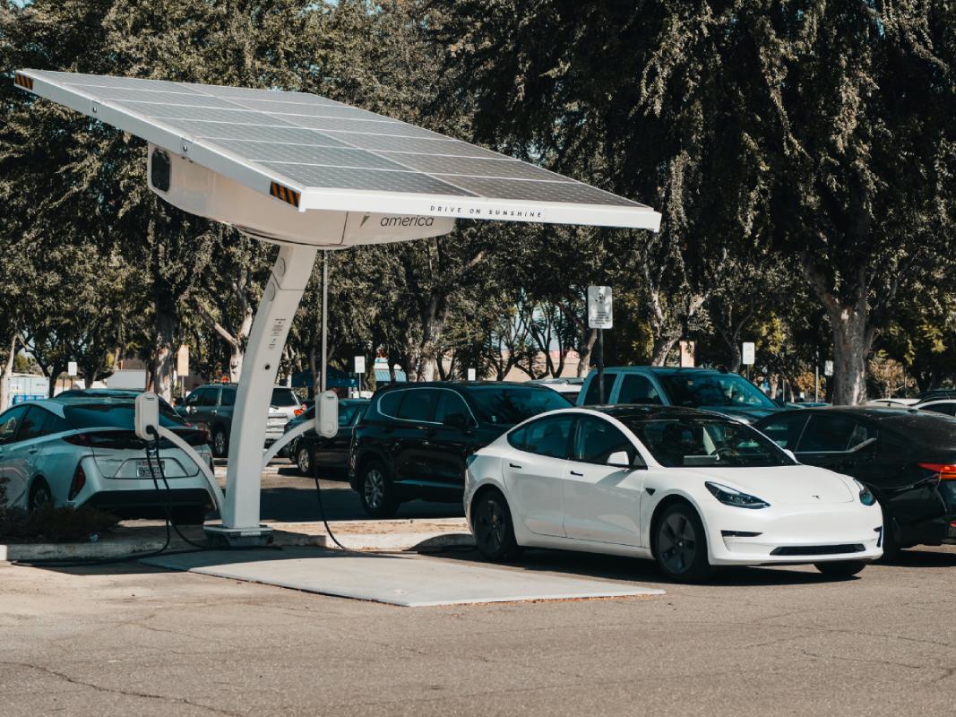 Role of Renewable Energy in the Future