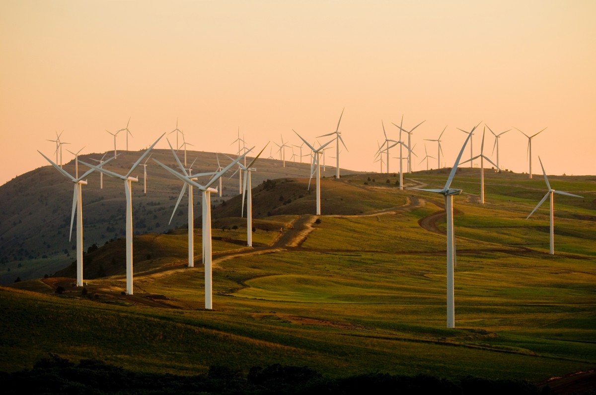 The Role of Renewable Energy in Combatting Climate Change