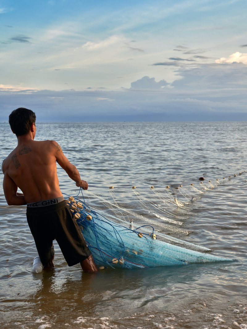 The Ecological Impact of Overfishing