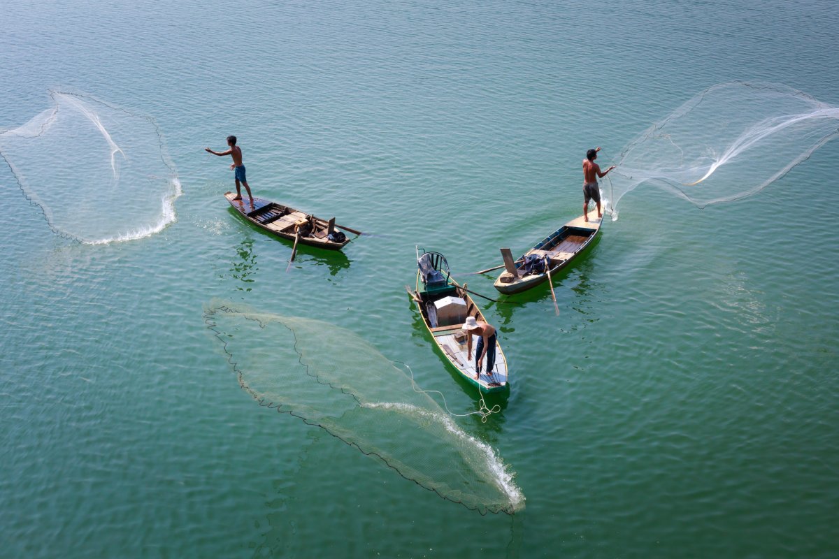 Policies and Regulations for Sustainable Fisheries