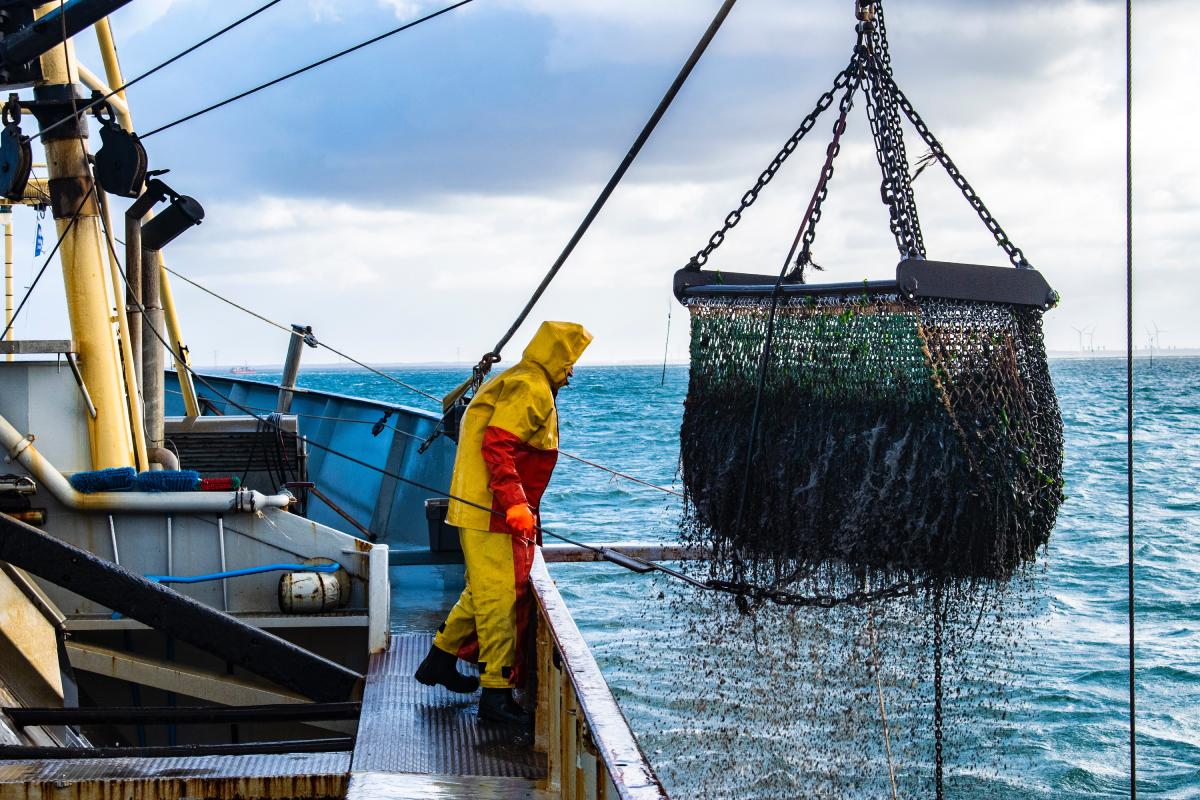 Innovations and Technologies in Sustainable Fisheries
